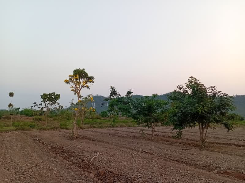 ที่ดินโฉนด ครุฑแดง กาญจนบุรี แค่ไร่ละ4แสน5 2ไร่แถม2ไร่ แค่1ชม.กว่าจากกรุงเทพ เชิงเขา ติดห้วย น้ำไฟพร, กาญจนบุรี, บ้านใหม่, ท่าม่วง, กาญจนบุรี, 2,800 ตร.ม., ที่ดิน ขาย, โดย บูม บูม, 60112033 - DDproperty.com