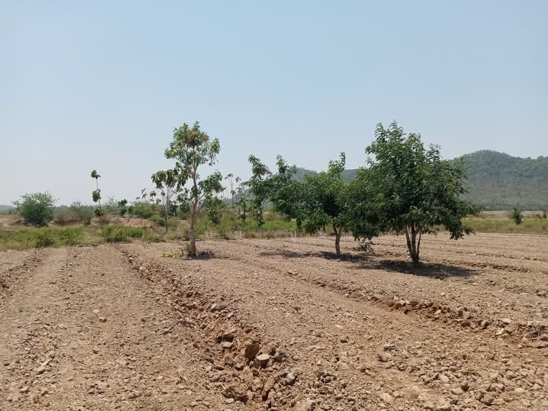 ที่ดินโฉนด ครุฑแดง กาญจนบุรี แค่ไร่ละ4แสน5 2ไร่แถม2ไร่ แค่1ชม.กว่าจากกรุงเทพ เชิงเขา ติดห้วย น้ำไฟพร, กาญจนบุรี, บ้านใหม่, ท่าม่วง, กาญจนบุรี, 2,800 ตร.ม., ที่ดิน ขาย, โดย บูม บูม, 60112033 - DDproperty.com