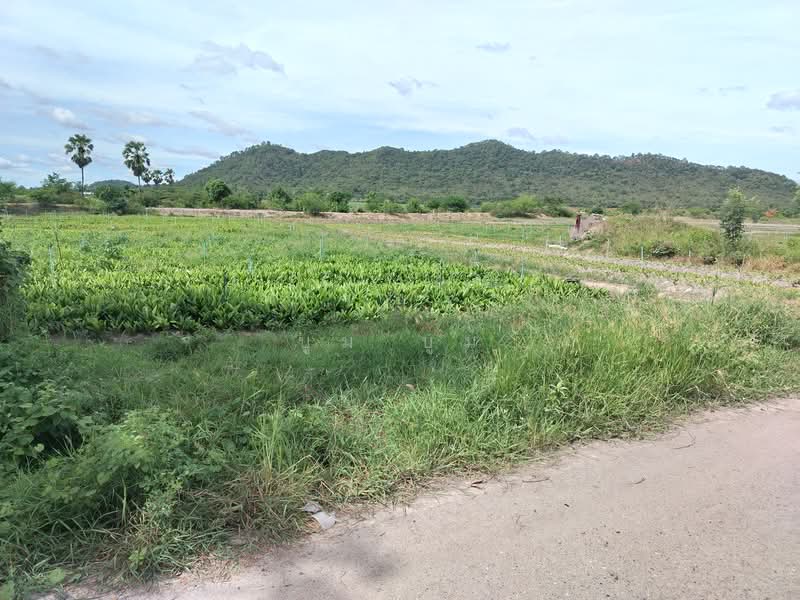 ที่ดินโฉนด ครุฑแดง กาญจนบุรี แค่ไร่ละ4แสน5 2ไร่แถม2ไร่ แค่1ชม.กว่าจากกรุงเทพ เชิงเขา ติดห้วย น้ำไฟพร, Kanchanaburi, Ban Mai, Tha Muang, Kanchanaburi, , 2,800 sqm, Land For Sale, by Kittisap Lertharn, 60112033 - DDproperty.com