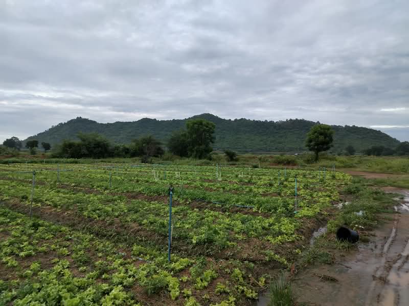 ที่ดินโฉนด ครุฑแดง กาญจนบุรี แค่ไร่ละ4แสน5 2ไร่แถม2ไร่ แค่1ชม.กว่าจากกรุงเทพ เชิงเขา ติดห้วย น้ำไฟพร, Kanchanaburi, Ban Mai, Tha Muang, Kanchanaburi, , 2,800 sqm, Land For Sale, by Kittisap Lertharn, 60112033 - DDproperty.com