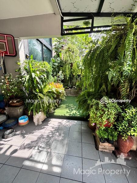 For Rent - Areeya Tobe Kaset-Nawamintr, Bangkok