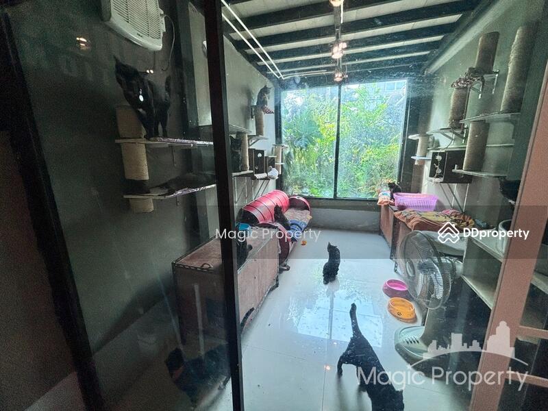 For Rent - Areeya Tobe Kaset-Nawamintr, Bangkok