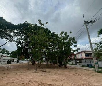 ขาย - ขายที่ดินถมแล้วหนองปรือ 1 ไร่ แปลงหัวมุมติดถ.ซอยชัยพฤกษ์1 ใกล้หาดจอมเทียน-1กม., ชลบุรี