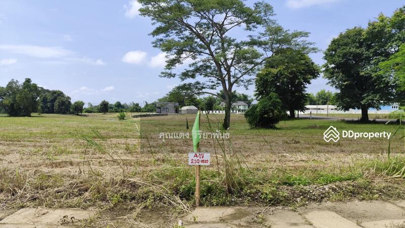 For Sale - Land for sale, located on Phahonyothin Road, near Tham Luang-Khun Nam Nang Non, Mae Sai, Chiang Rai, Chiang Rai