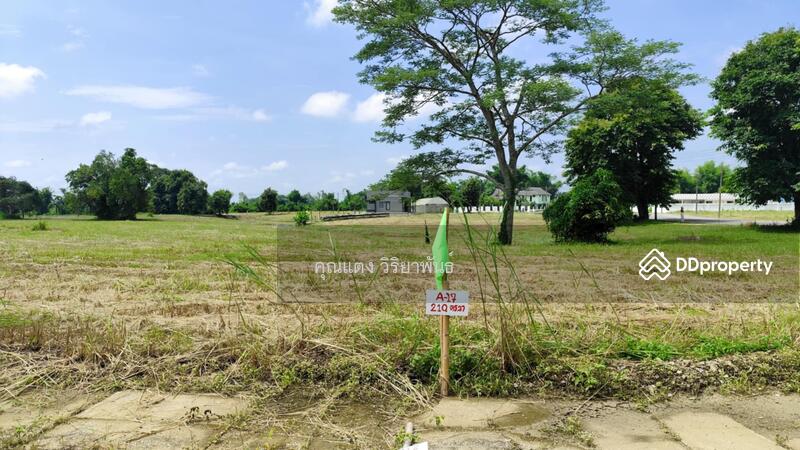 For Sale - Land for sale, located on Phahonyothin Road, near Tham Luang-Khun Nam Nang Non, Mae Sai, Chiang Rai, Chiang Rai
