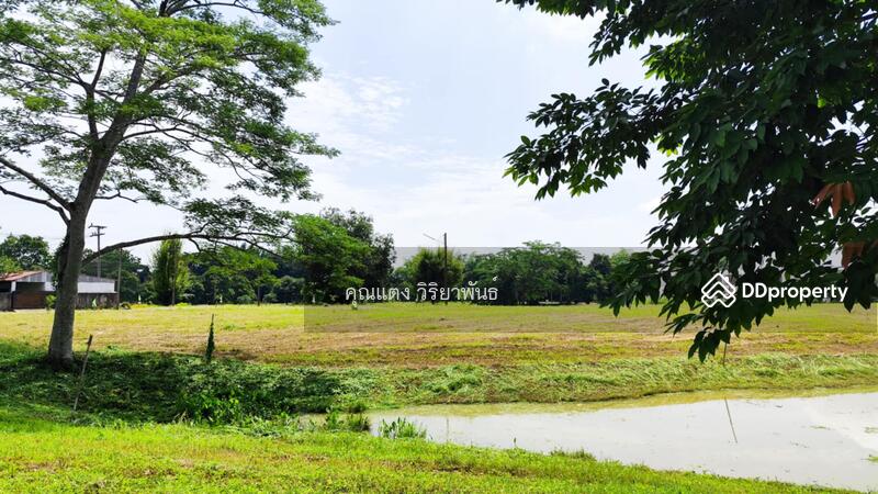 For Sale - Land for sale, located on Phahonyothin Road, near Tham Luang-Khun Nam Nang Non, Mae Sai, Chiang Rai, Chiang Rai