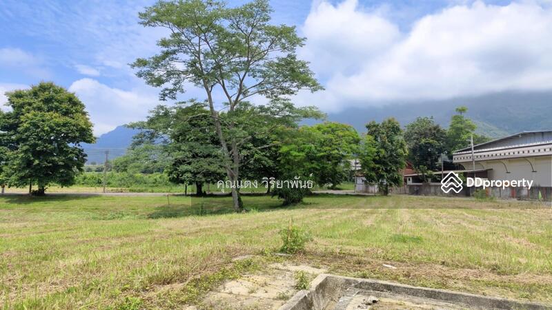 For Sale - Land for sale, located on Phahonyothin Road, near Tham Luang-Khun Nam Nang Non, Mae Sai, Chiang Rai, Chiang Rai