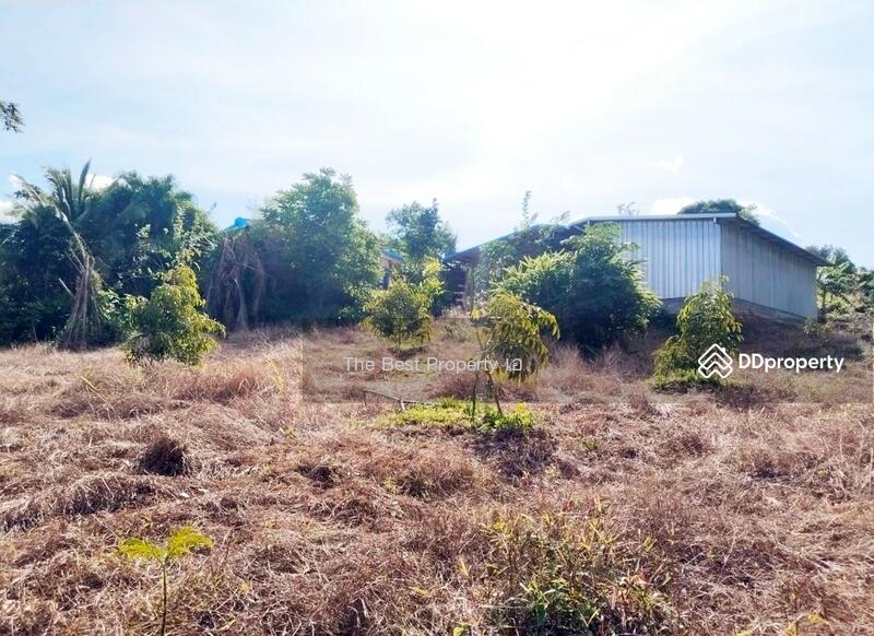 ขาย - ที่ดินโป่งน้ำร้อน จันทบุรี, จันทบุรี