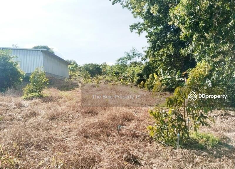 ขาย - ที่ดินโป่งน้ำร้อน จันทบุรี, จันทบุรี
