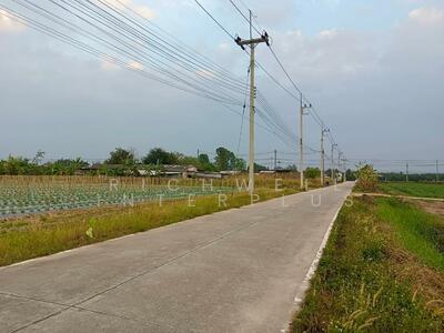 ขาย - ขายที่ดินหนองบอนแดง 5 ไร่ ซอยทุ่งโปร่ง4/2 ใกล้ถนนวิฑูรดำริ-2กม. อ.บ้านบึง, ชลบุรี