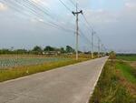 ขายที่ดินหนองบอนแดง 5 ไร่ ซอยทุ่งโปร่ง4/2 ใกล้ถนนวิฑูรดำริ-2กม. อ.บ้านบึง, ชลบุรี