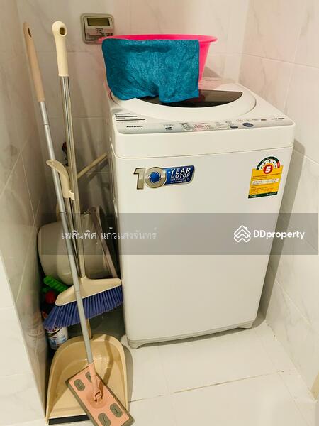 ให้เช่า - The Niche Mono Sukhumvit 50 : นิช โมโน สุขุมวิท 50, กรุงเทพ