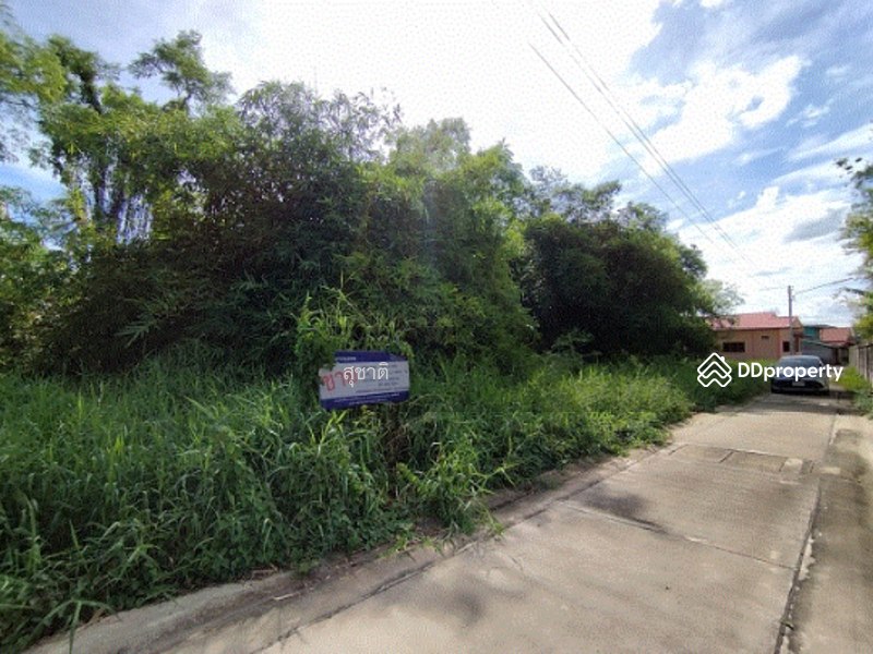 ขาย - ที่ดินเปล่า ซอย17 (ข้างกุฎชี) ถ.เทศบาล 1 ต.ท่าตำหนัก อ.นครชัยศรี จ.นครปฐม, นครปฐม