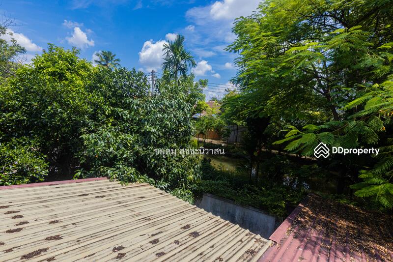 For Rent - 50210, Chiang Mai