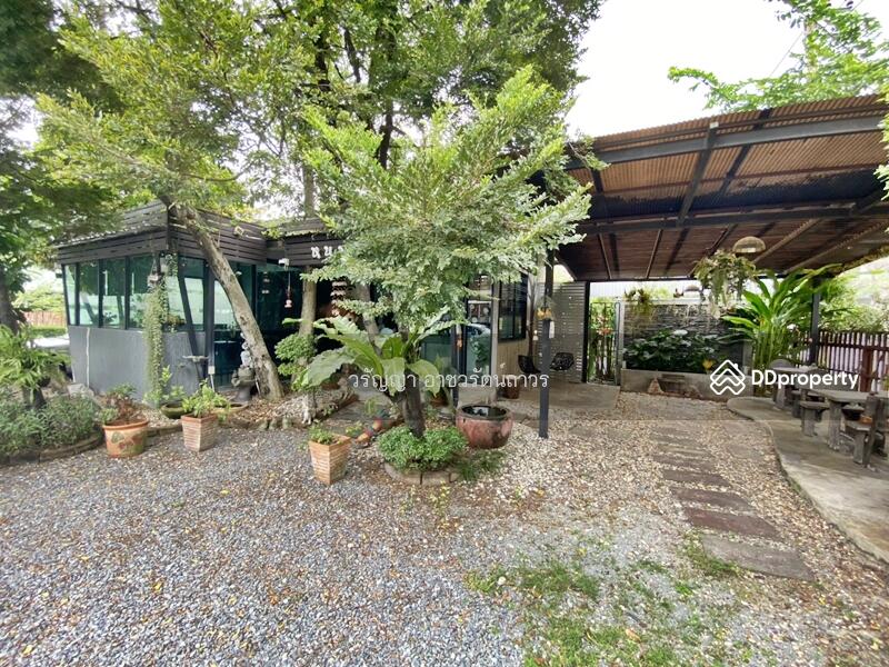 For Sale - Urgent Sale – Below Market Price! Prime Land on Therdthai 76 Road, Near Bang Khae BTS, Bangkok