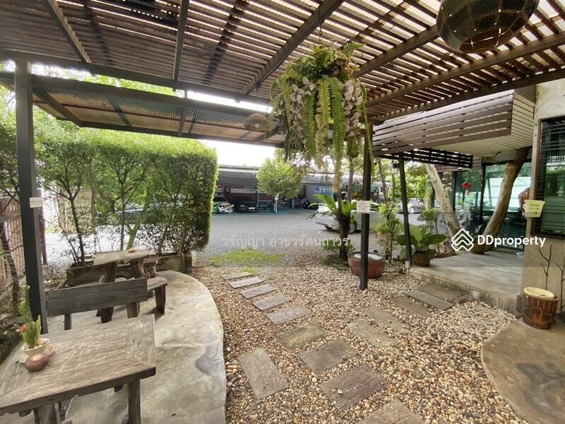 ขาย - ขาย ที่ ดิน เทอดไท ถูกกว่าราคาตลาด ถนนเทอไท 76 ทำเลดี ใกล้รถไฟฟ้าบางแค เหมาะทำบริษัท คอนโด บ้านหรู, กรุงเทพ
