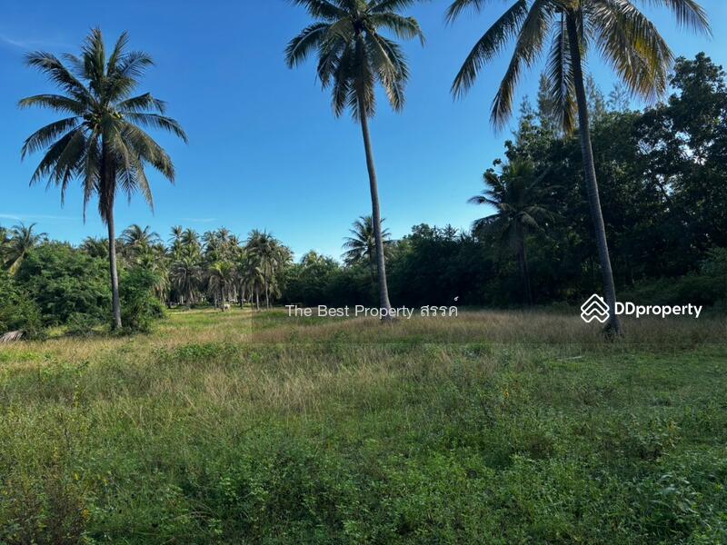 ขาย - ที่ดินทับสะแก ประจวบคีรีขันธ์, ประจวบคีรีขันธ์