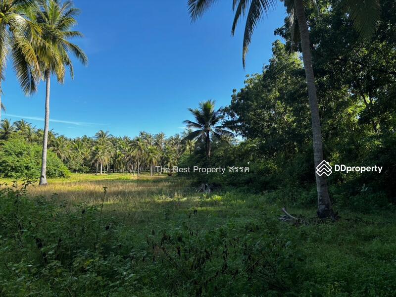 ขาย - ที่ดินทับสะแก ประจวบคีรีขันธ์, ประจวบคีรีขันธ์