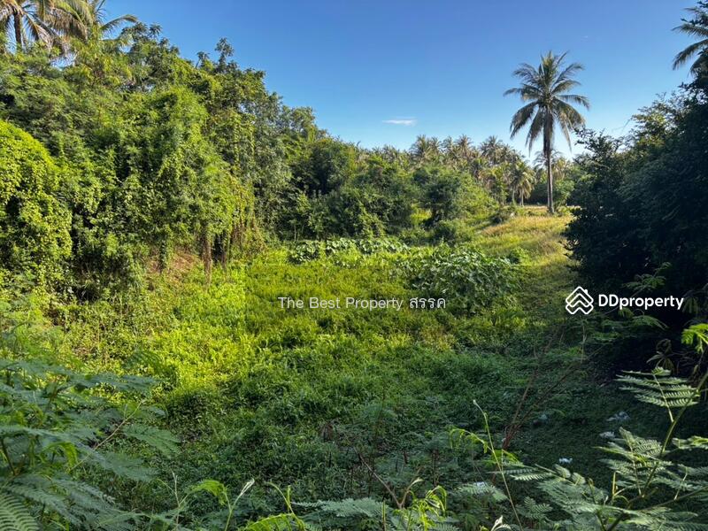 ขาย - ที่ดินทับสะแก ประจวบคีรีขันธ์, ประจวบคีรีขันธ์