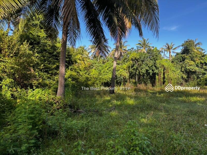 ขาย - ที่ดินทับสะแก ประจวบคีรีขันธ์, ประจวบคีรีขันธ์
