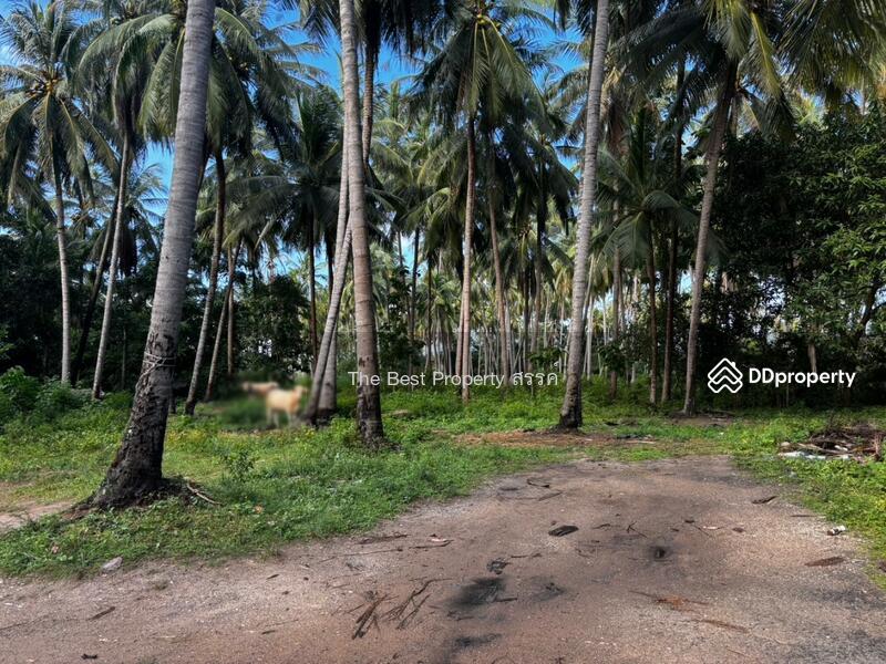 ขาย - ที่ดินทับสะแก ประจวบคีรีขันธ์, ประจวบคีรีขันธ์