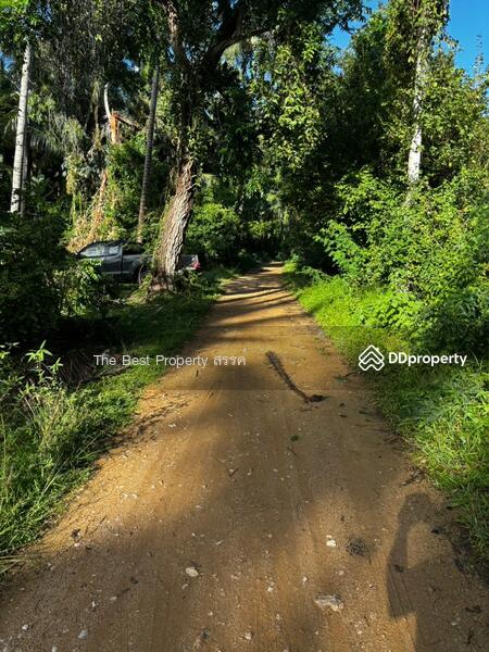 ขาย - ที่ดินทับสะแก ประจวบคีรีขันธ์, ประจวบคีรีขันธ์