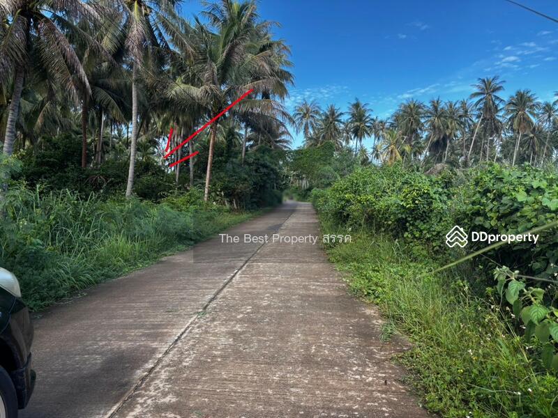 ขาย - ที่ดินทับสะแก ประจวบคีรีขันธ์, ประจวบคีรีขันธ์