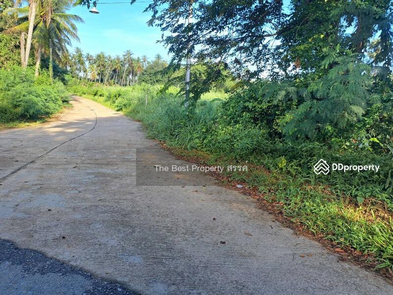 ขาย - ที่ดินทับสะแก ประจวบคีรีขันธ์, ประจวบคีรีขันธ์