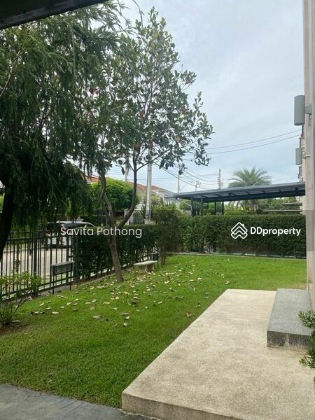 For Rent - CASA GRAND Phetkasem Sai 1, Bangkok