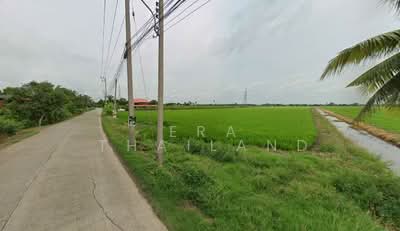 ขาย - ขาย ที่ดินเปล่า 2 แปลง สีเขียว ปทุมธานี ลาดหลุมแก้ว, ปทุมธานี