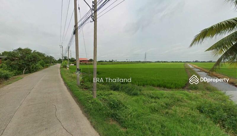 ขาย - ขาย ที่ดินเปล่า 2 แปลง สีเขียว ปทุมธานี ลาดหลุมแก้ว, ปทุมธานี
