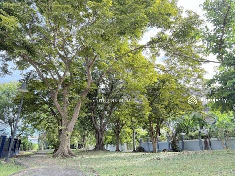 For Sale - Panchasap Park Pinklao, Bangkok