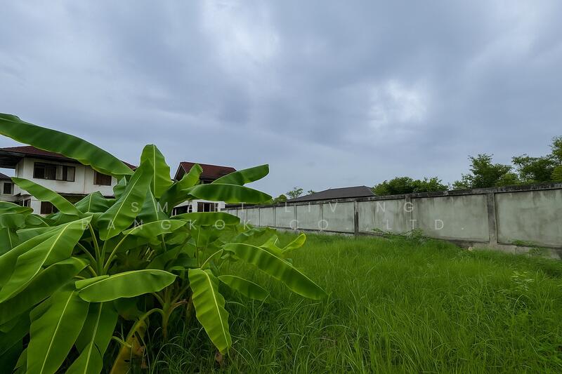 ขาย - ที่ดิน สุขุวิม, วัฒนา, กรุงเทพ