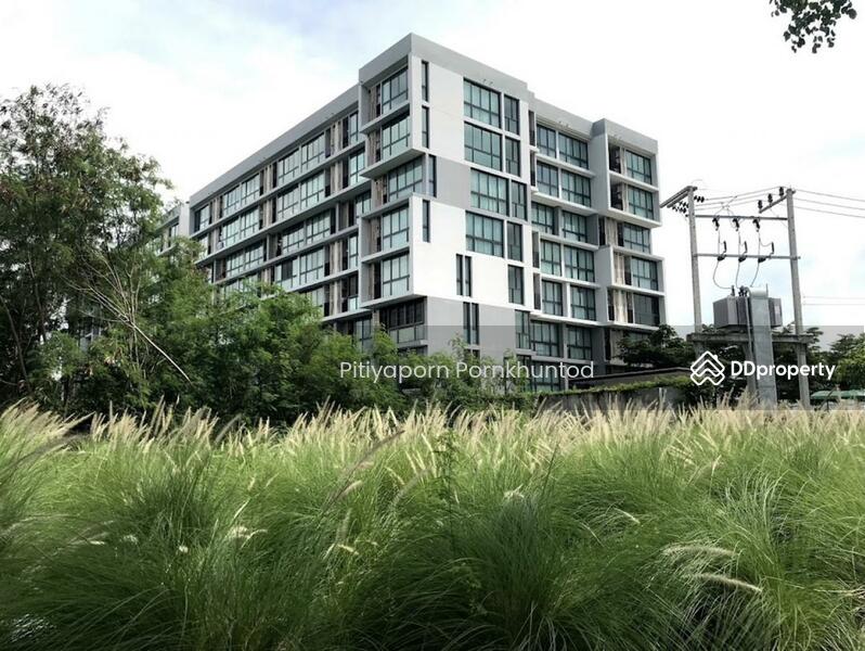 For Sale - Connext Condo, Phuket