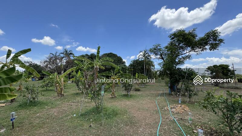 For Sale - MadamSoie_00035, Saraburi