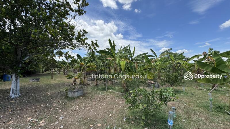 For Sale - MadamSoie_00035, Saraburi