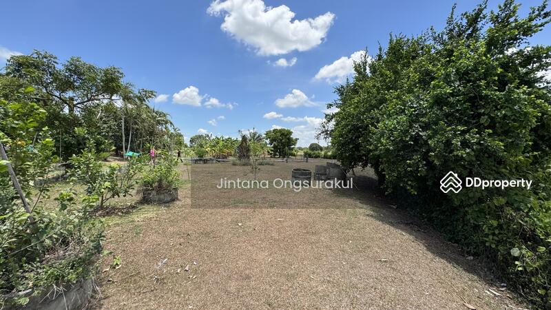 For Sale - MadamSoie_00035, Saraburi