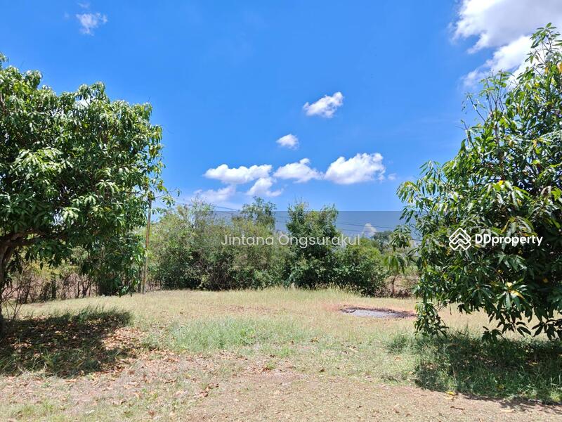 For Sale - MadamSoie_00035, Saraburi