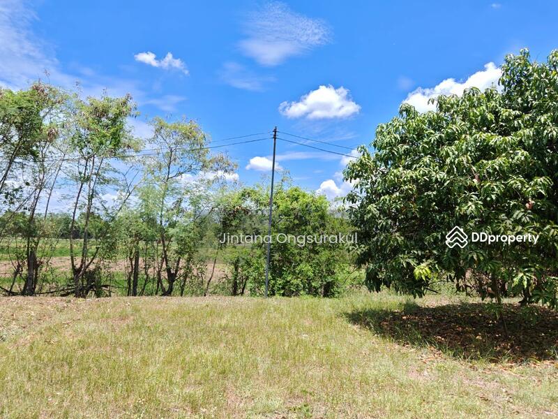 For Sale - MadamSoie_00035, Saraburi