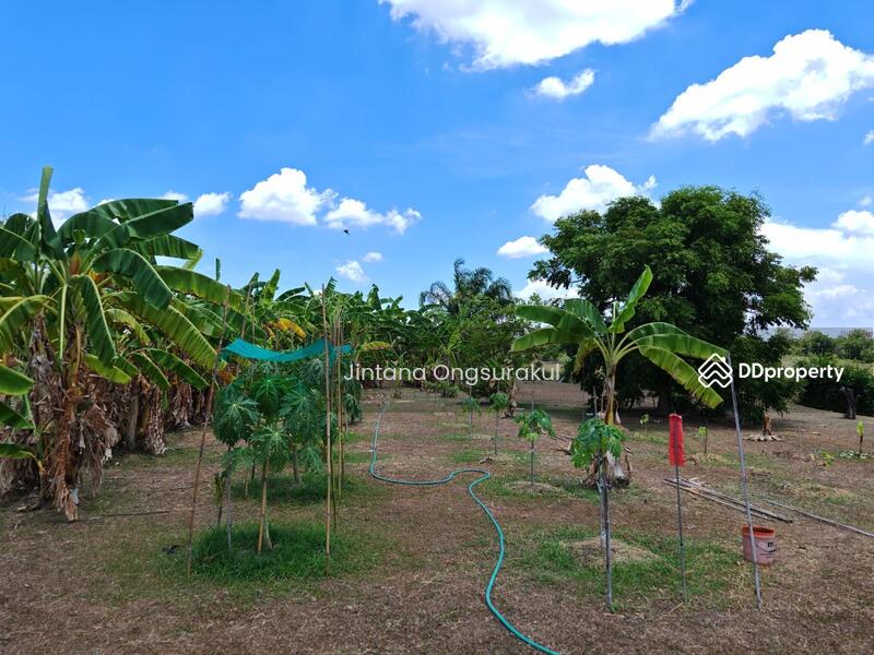 For Sale - MadamSoie_00035, Saraburi