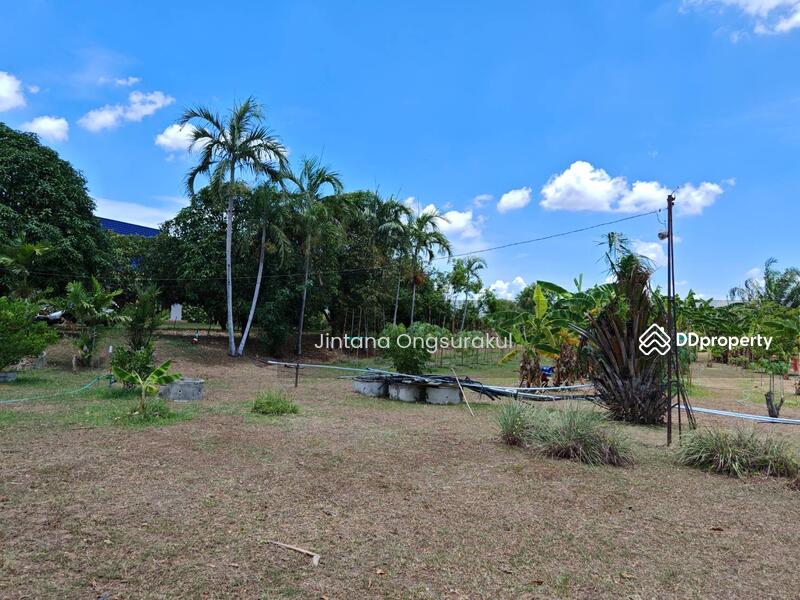 For Sale - MadamSoie_00035, Saraburi