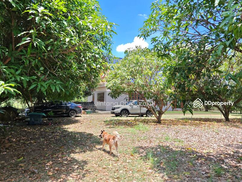 For Sale - MadamSoie_00035, Saraburi