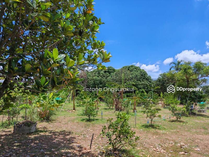 For Sale - MadamSoie_00035, Saraburi