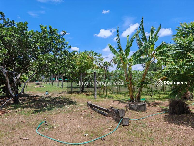 For Sale - MadamSoie_00035, Saraburi