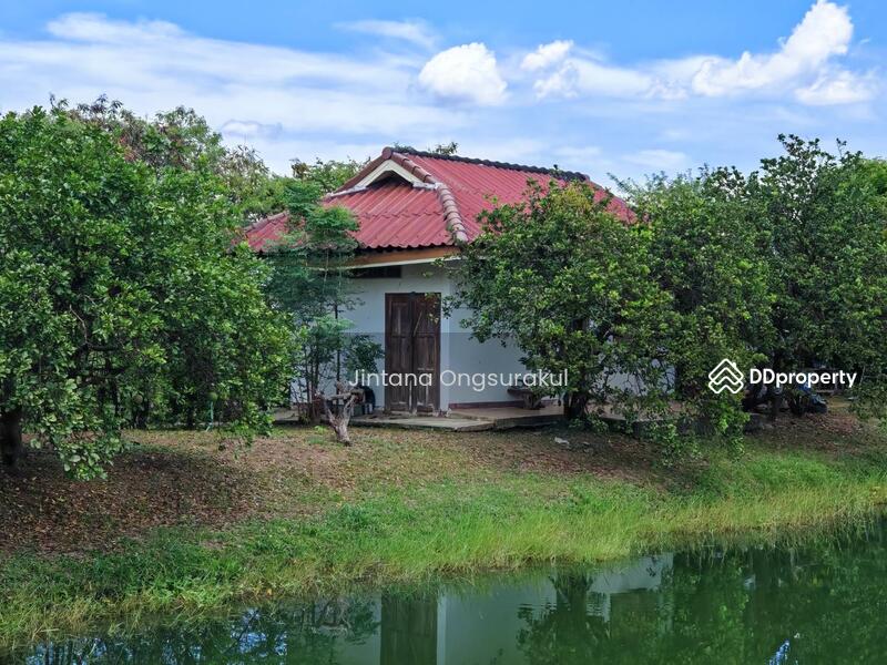 For Sale - MadamSoie_00035, Saraburi