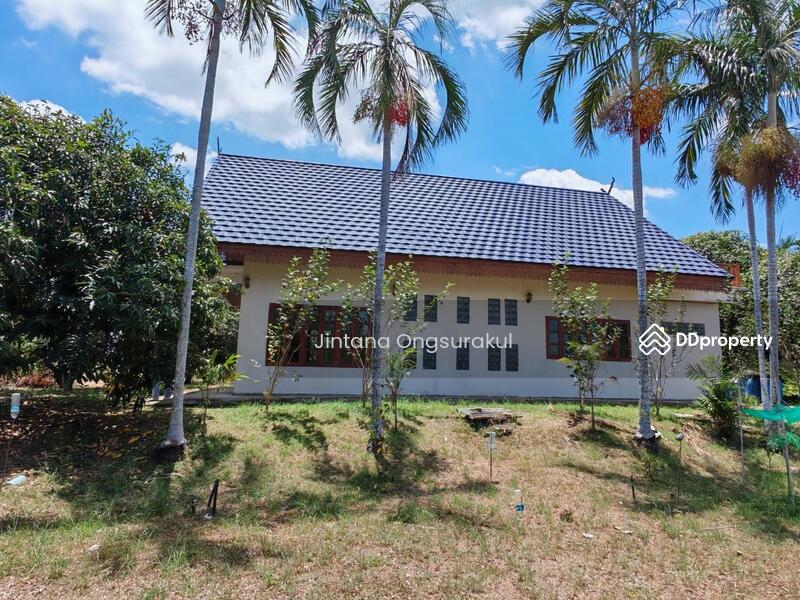 For Sale - MadamSoie_00035, Saraburi