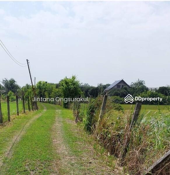 For Sale - MadamSoie_00035, Saraburi