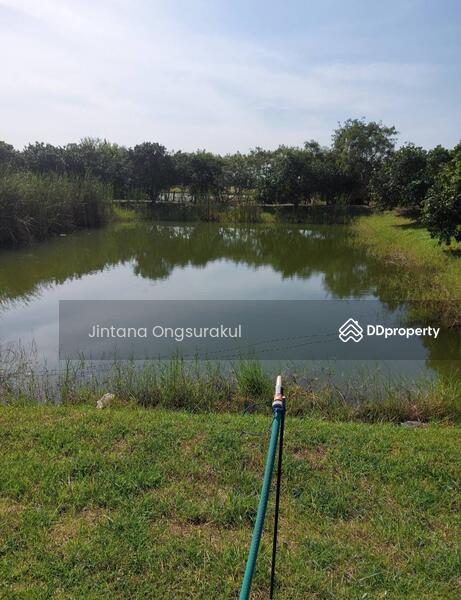 For Sale - MadamSoie_00035, Saraburi