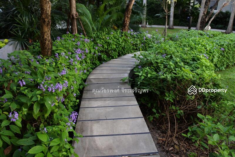 ให้เช่า - The Parkland Srinakarin : เดอะ พาร์คแลนด์ ศรีนครินทร์, สมุทรปราการ