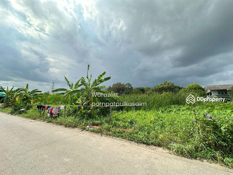ขาย - ที่ดิน เพชรเกษม 77 หนองแขม, กรุงเทพ